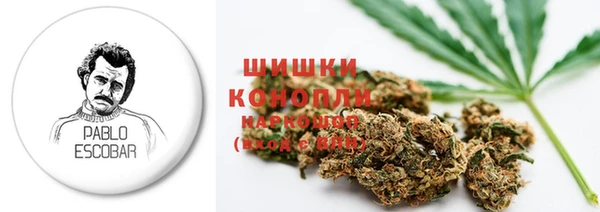 PSILOCYBIN Нефтекумск