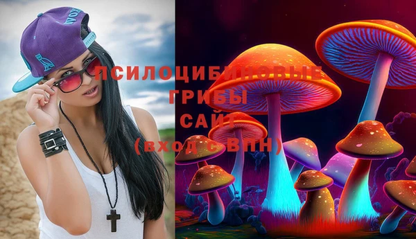 винт Армянск