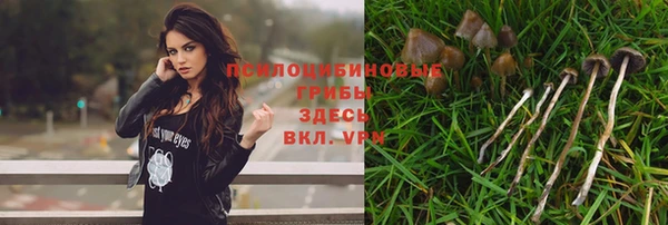 экстази Арсеньев